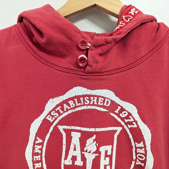 American Eagle Vintage Style Button Collar Distressed Hoodie Collegiate - Picture 3 of 14